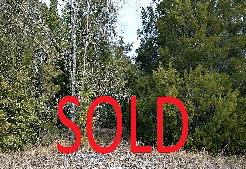 13.3 Acres Borders School, Mitchell Road, Brooksville, Hernando County, Florida 34601 available in 2 parcels SOLD